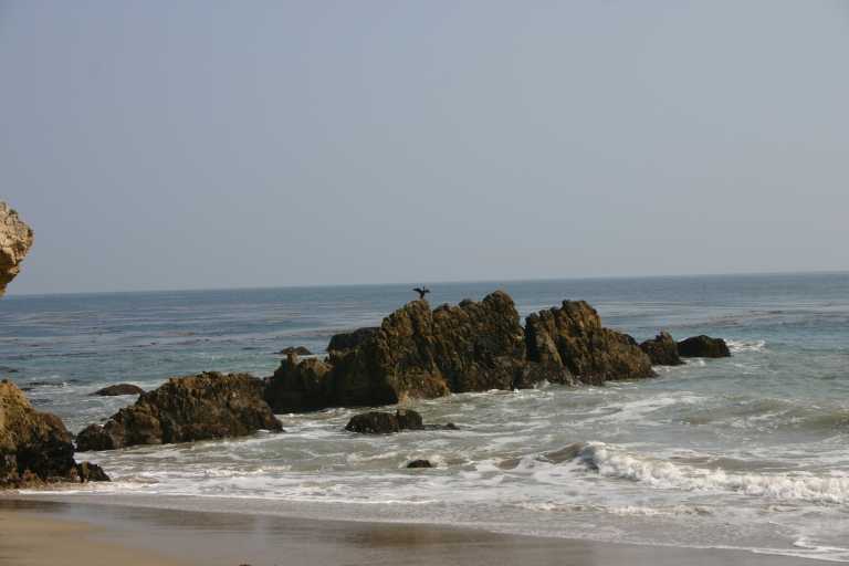 040928_CALC_010.JPG (32888 Byte)