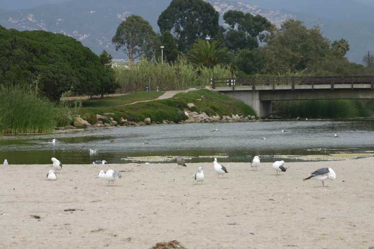 040929_LCCA_015.JPG (48343 Byte)