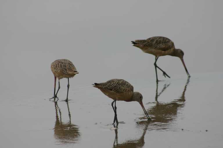 040929_LCCA_017.JPG (21343 Byte)