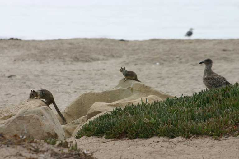 040929_LCCA_019.JPG (39132 Byte)