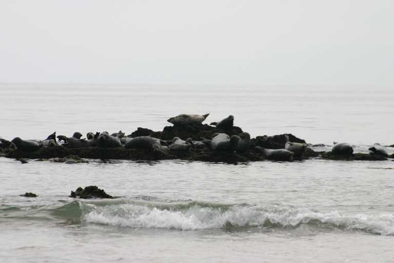 040929_LCCA_023.JPG (31430 Byte)