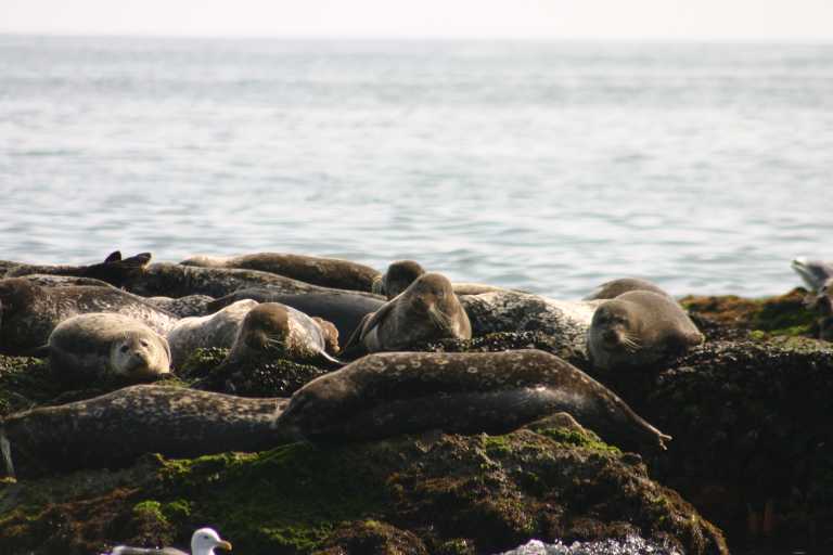 040929_LCCA_031.JPG (41897 Byte)