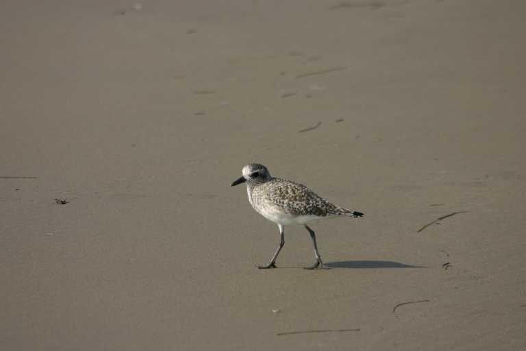 040929_LCCA_036.JPG (15129 Byte)