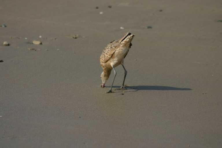 040929_LCCA_044.JPG (17243 Byte)