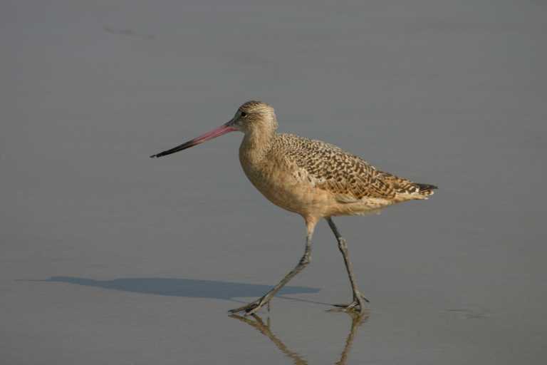 040929_LCCA_048.JPG (16662 Byte)