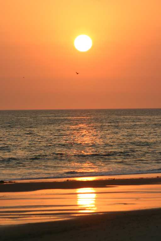 040929_LCCA_062.JPG (34738 Byte)