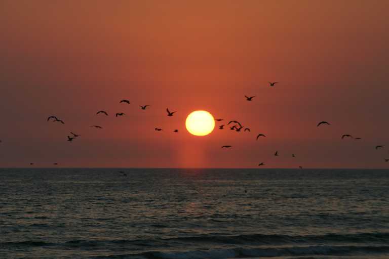 040929_LCCA_067.JPG (25242 Byte)