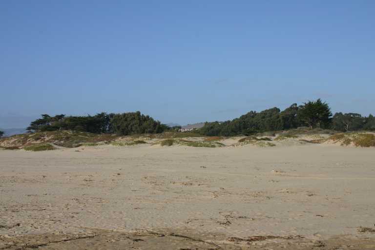 040930_CAPB_014.JPG (30646 Byte)