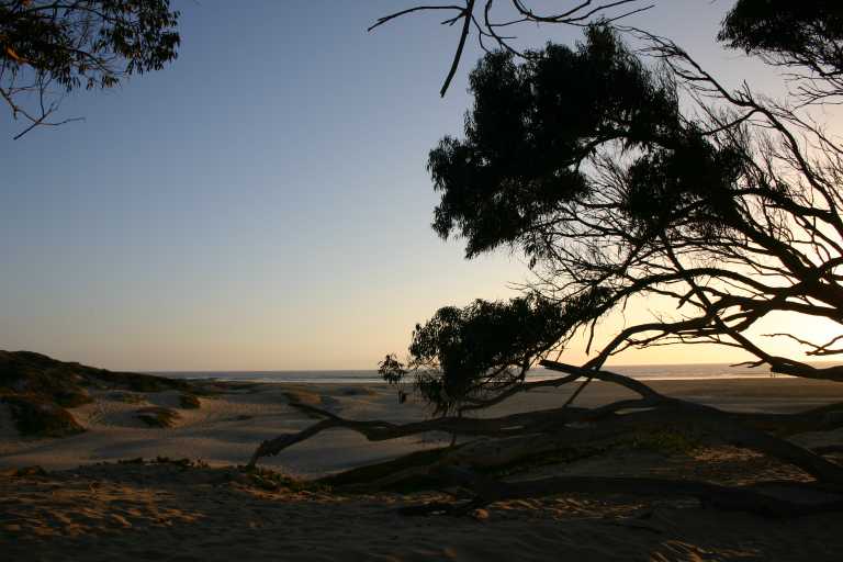 040930_CAPB_019.JPG (52476 Byte)