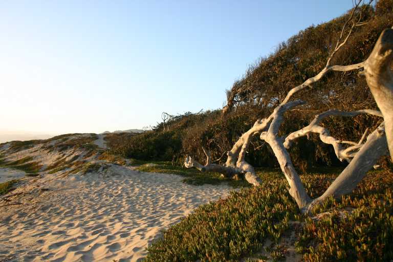 040930_CAPB_020.JPG (64704 Byte)