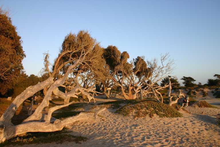 040930_CAPB_021.JPG (60363 Byte)