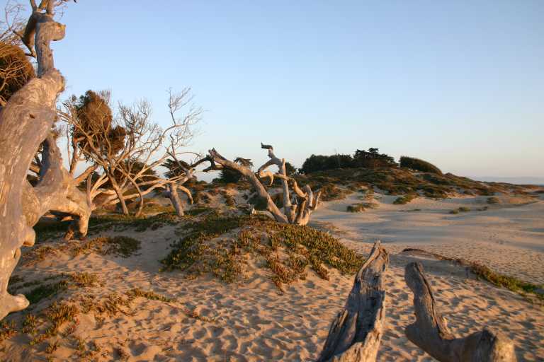 040930_CAPB_024.JPG (58856 Byte)