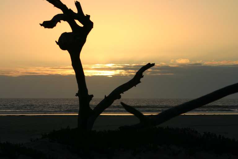 040930_CAPB_027.JPG (25336 Byte)