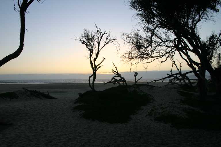 040930_CAPB_029.JPG (45803 Byte)