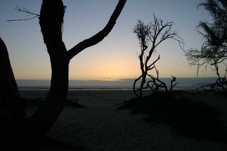 040930_CAPB_030.JPG (32645 Byte)