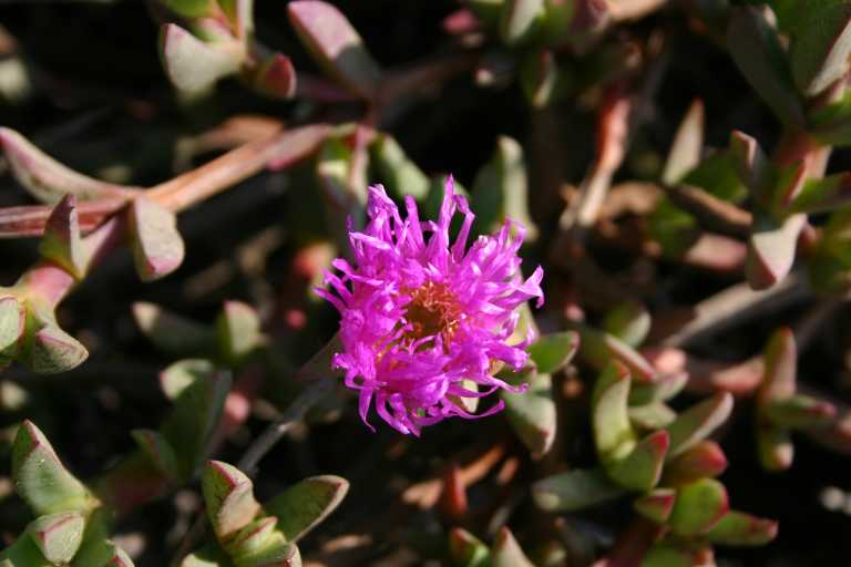 041001_PBBB_004.JPG (45105 Byte)