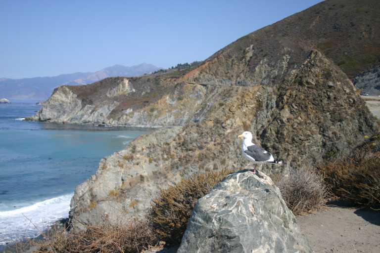 041001_PBBB_014.JPG (56868 Byte)