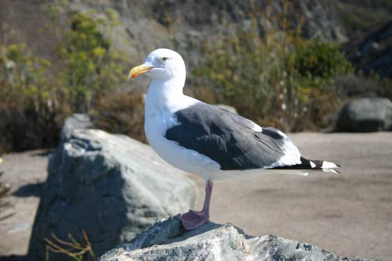 041001_PBBB_016.JPG (40391 Byte)