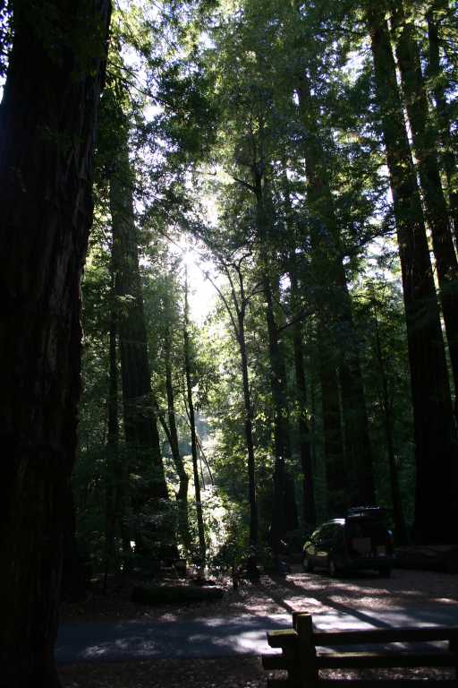 041001_PBBB_026.JPG (67715 Byte)