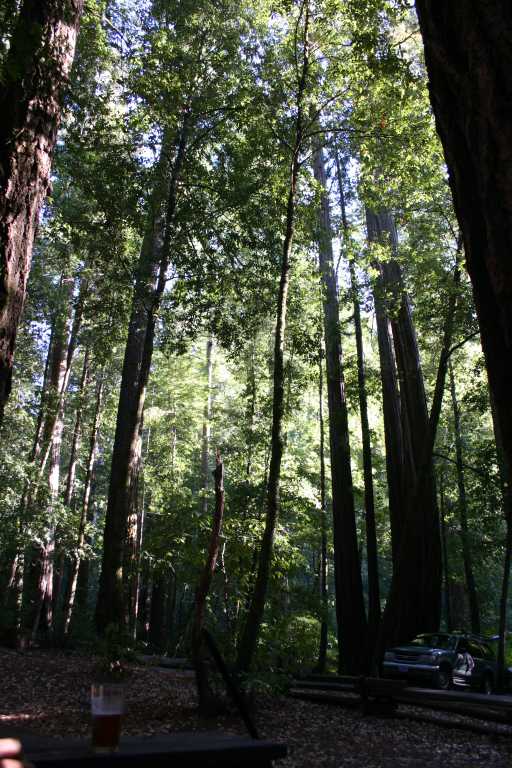 041001_PBBB_027.JPG (92332 Byte)