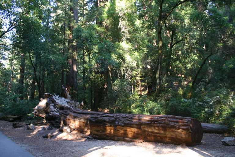 041001_PBBB_028.JPG (83999 Byte)