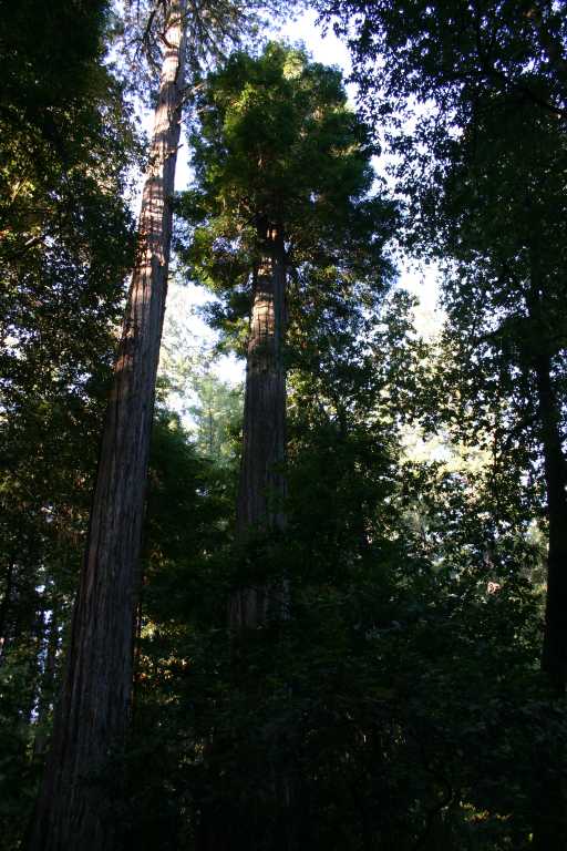 041002_BBRW_003.JPG (79706 Byte)