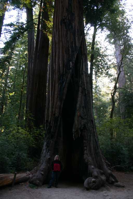 041002_BBRW_004.JPG (58835 Byte)