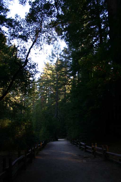 041002_BBRW_006.JPG (57464 Byte)