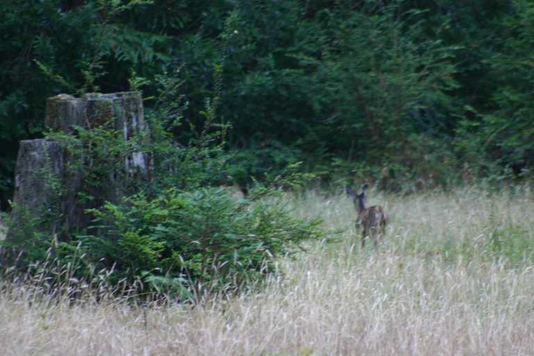 041002_BBRW_007.JPG (52413 Byte)