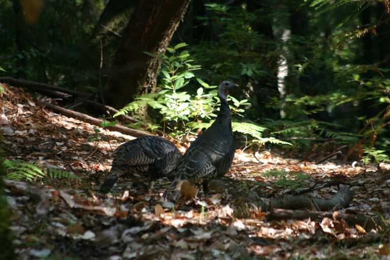 041002_BBRW_009.JPG (65813 Byte)