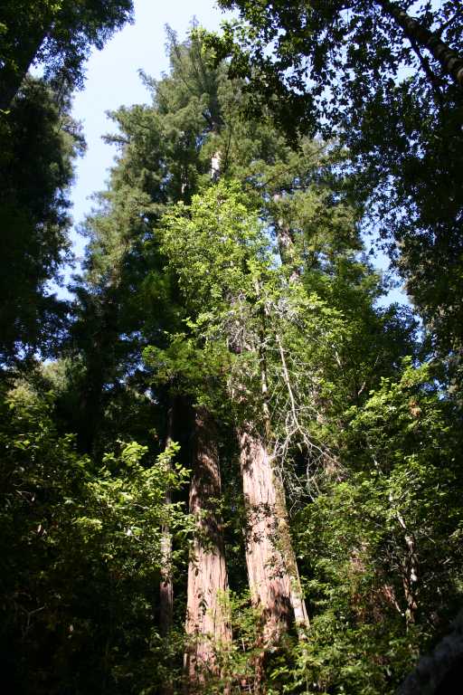 041002_BBRW_015.JPG (100230 Byte)