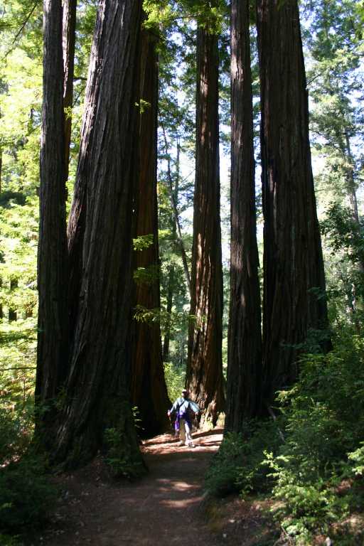 041002_BBRW_018.JPG (75312 Byte)