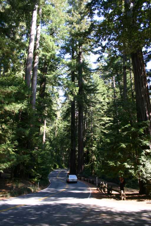 041002_BBRW_019.JPG (87881 Byte)