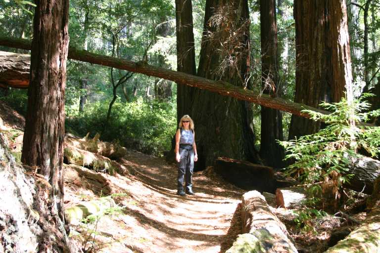 041002_BBRW_021.JPG (92168 Byte)