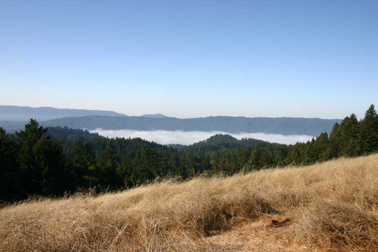 041003_BBHM_001.JPG (43750 Byte)