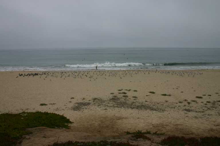 041003_BBHM_008.JPG (28728 Byte)