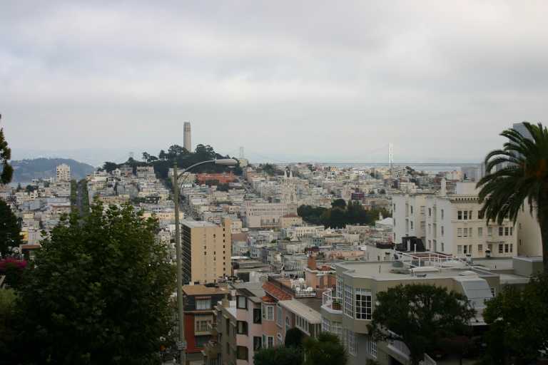 041004_HMSF_005.JPG (43592 Byte)