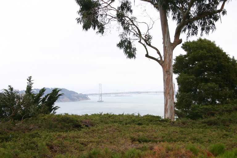 041004_HMSF_017.JPG (53973 Byte)