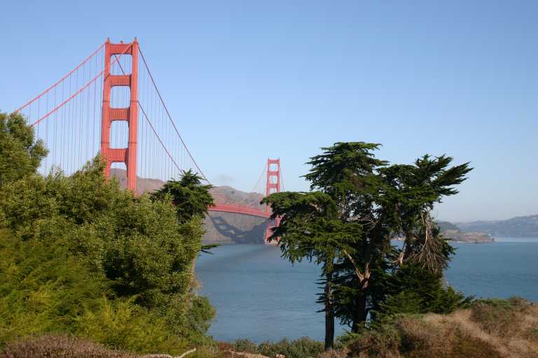 041006_SAFO_017.JPG (49469 Byte)