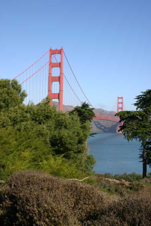 041006_SAFO_018.JPG (52343 Byte)