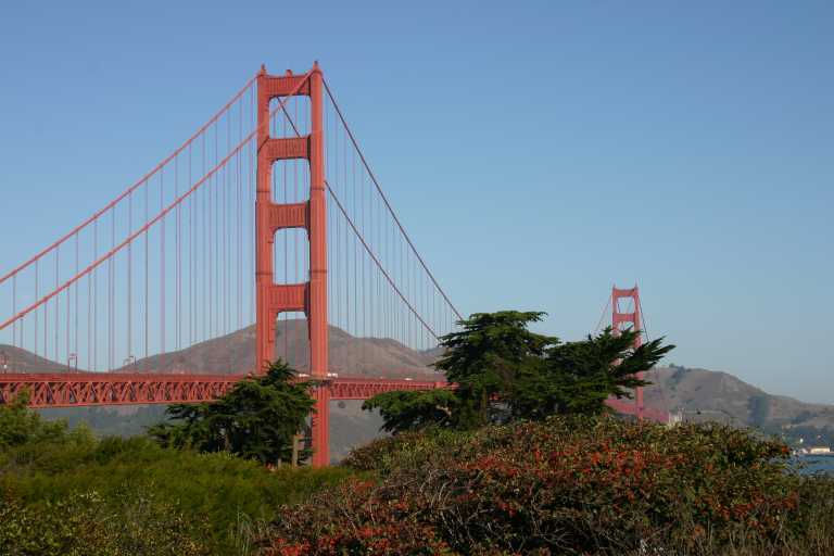 041006_SAFO_019.JPG (42908 Byte)